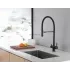 Смеситель ABBER Wasser Kreis AF81141B для кухни с подключением фильтра и выдвижной лейкой, черный матовый