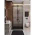 Душевая дверь Cezares LUX-B-FS-1-100-C-GM, 100х195, профиль оружейная сталь, стекло прозрачное