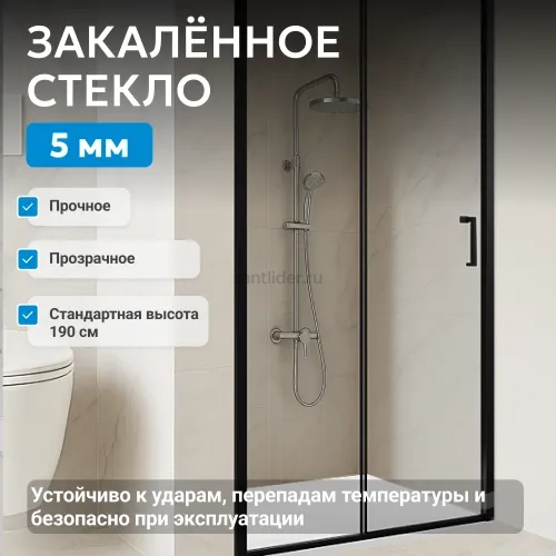 Душевая дверь ABBER Schwarzer Diamant AG30110B5