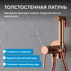 Смеситель ABBER Wasser Kreis AF8125RG с гигиеническим душем, розовое золото
