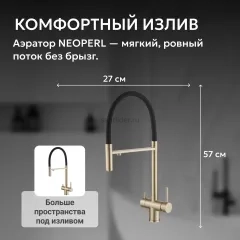 Смеситель ABBER Wasser Kreis AF81141G для кухни с подключением фильтра и выдвижной лейкой, золото матовое