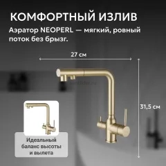 Смеситель ABBER Emotion AF8814G для кухни с подключением фильтра и выдвижной лейкой, золото матовое