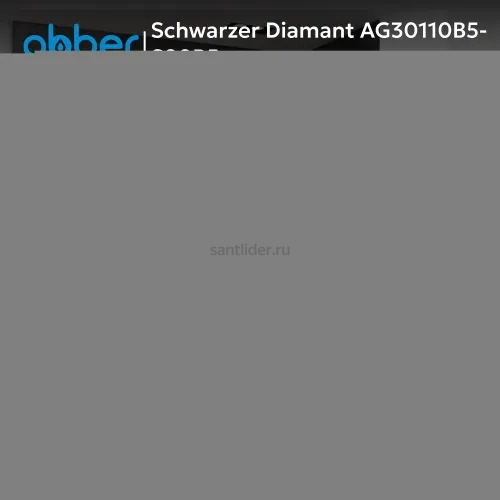 Душевой уголок ABBER Schwarzer Diamant AG30110B5-S90B5